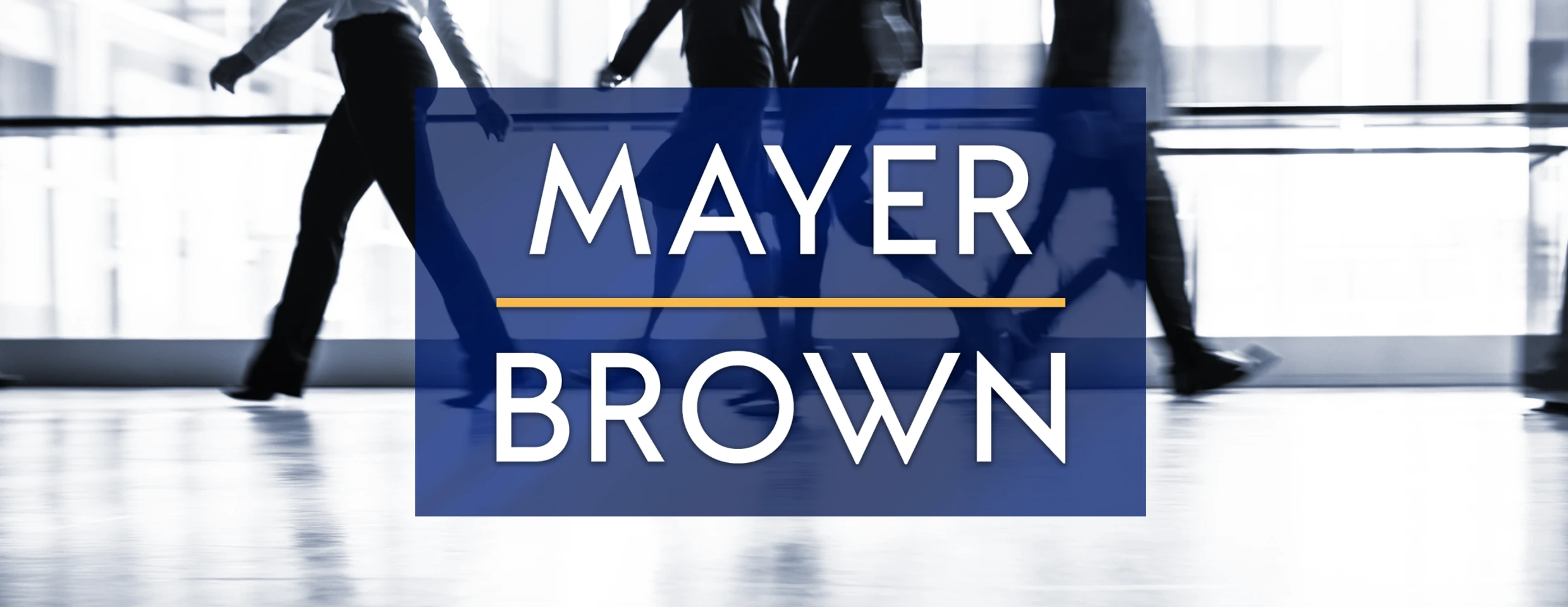 is mayer brown magic circle